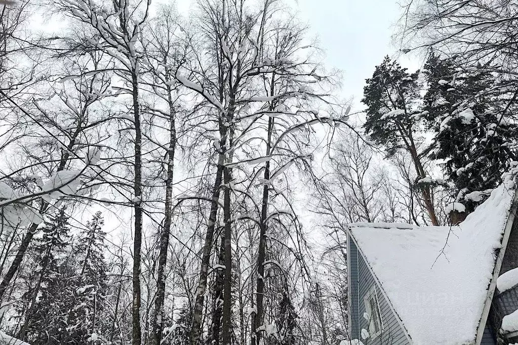 Участок в Московская область, Одинцовский городской округ, д. ... - Фото 1