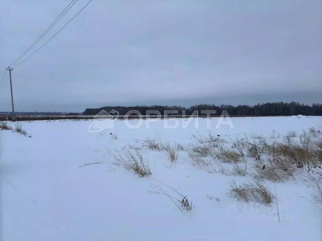 Участок в Тюменская область, Тюменский район, с. Горьковка Сибирская ... - Фото 1