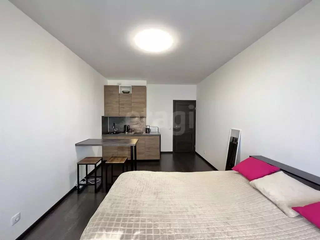 Студия Санкт-Петербург просп. Авиаконструкторов, 69 (31.0 м) - Фото 1