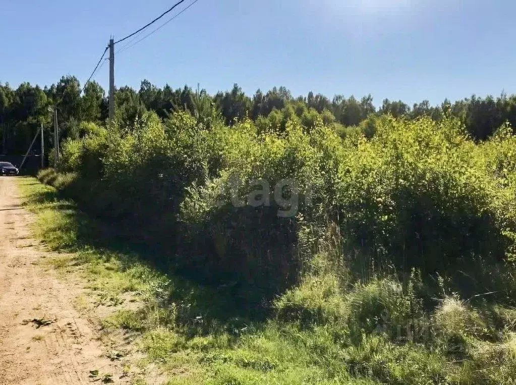 Участок в Ярославская область, Некрасовский муниципальный округ, ... - Фото 1