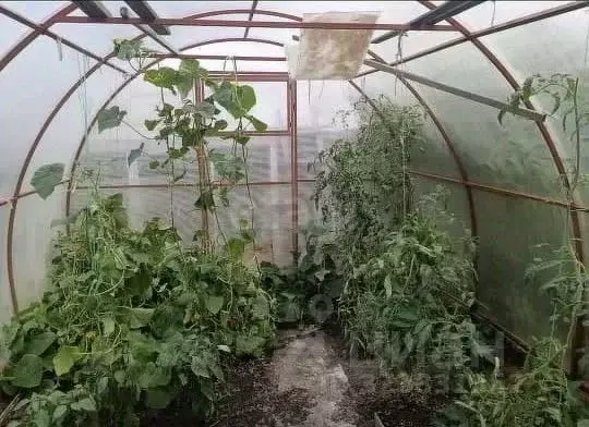 Дом в Курганская область, Курган Земледелец СНТ, ул. Яблоневая, 105 ... - Фото 2