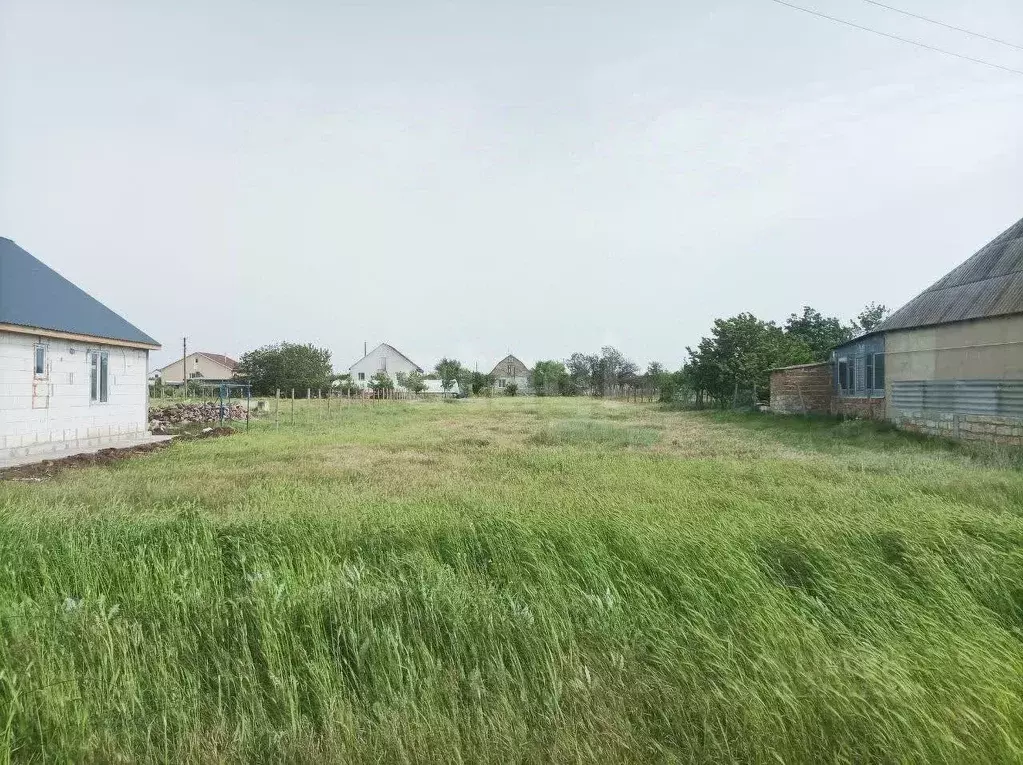 Участок в Крым, Кировский район, с. Владиславовка ул. Виноградная ... - Фото 0