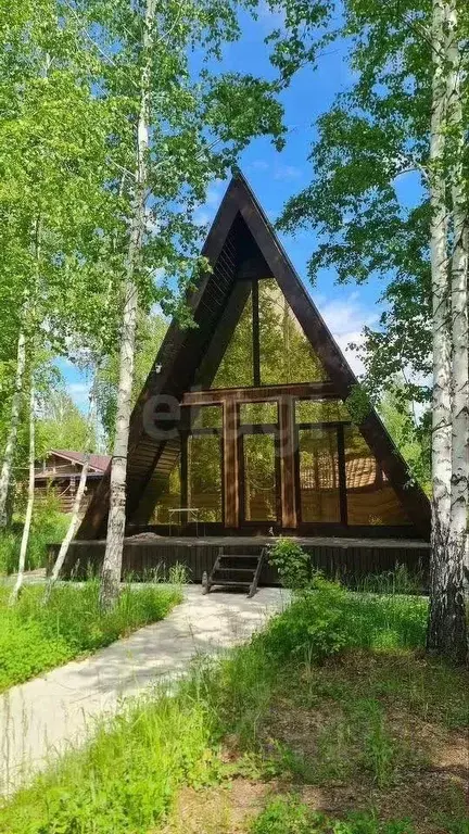 Дом в Новосибирская область, Новосибирский район, с. Боровое  (46 м) - Фото 1