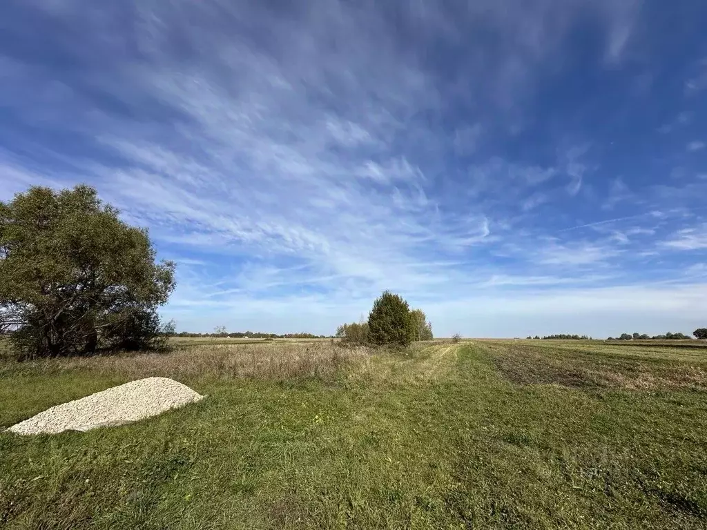 Участок в Московская область, Серебряные Пруды муниципальный округ, с. ... - Фото 2
