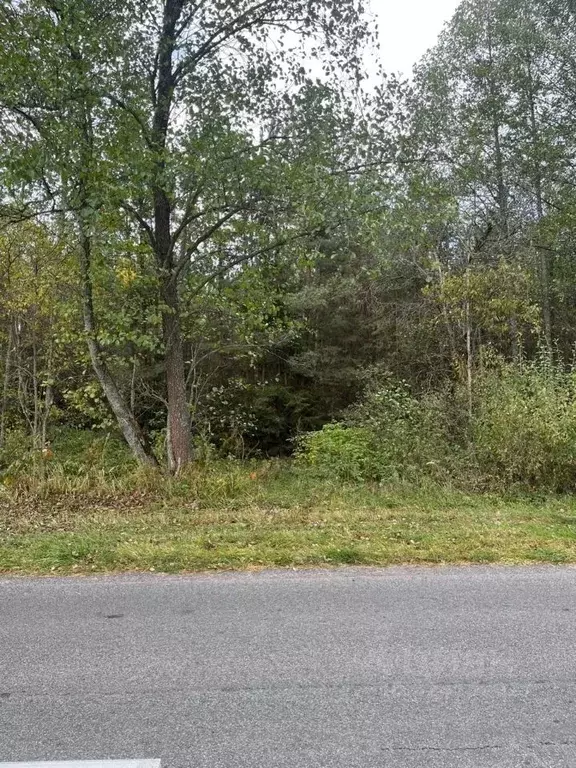 Участок в Брянская область, Брянский район, Журиничское с/пос, пос. ... - Фото 1