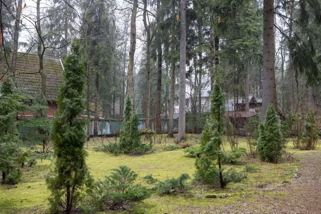 Участок в Московская область, Одинцовский городской округ, д. ... - Фото 1