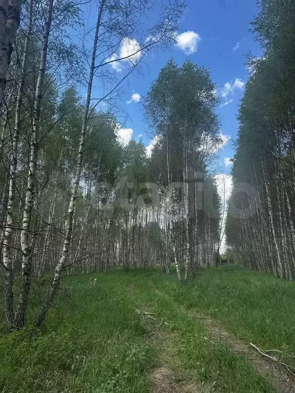 Участок 9,9 сот. (ИЖС) - Фото 1