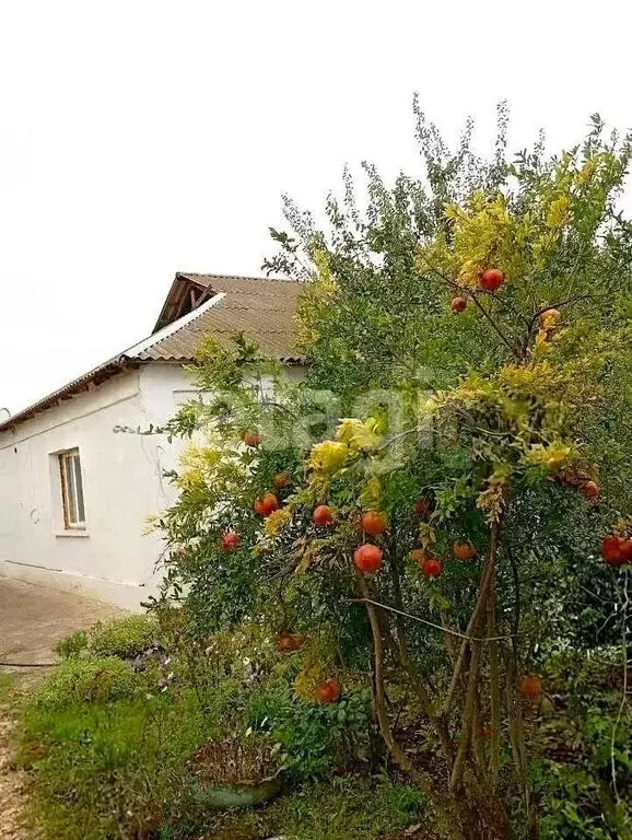 Дом в Некрасовка, Октябрьская улица (115.1 м) - Фото 1