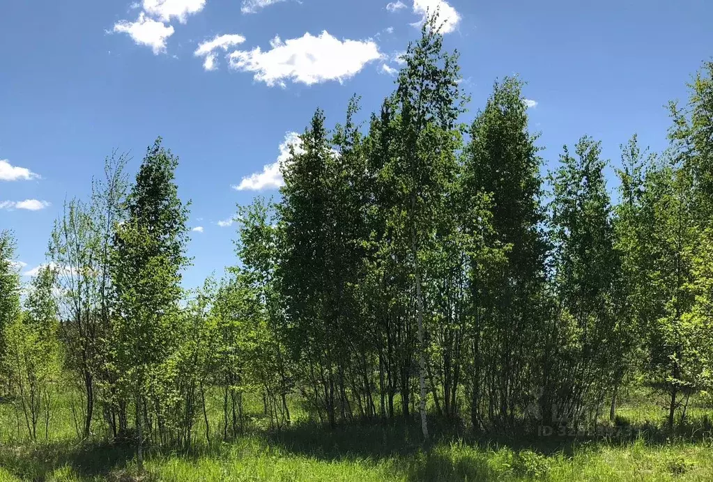 Участок в Московская область, Солнечногорск городской округ, д. ... - Фото 1