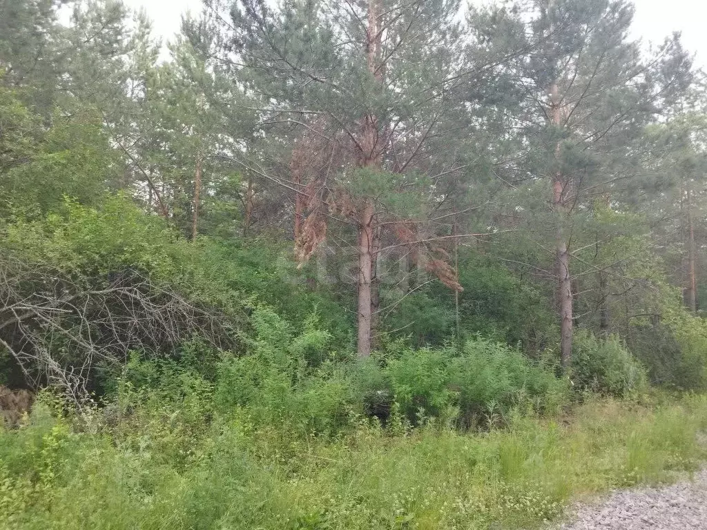 Участок в Свердловская область, Талица ул. Луначарского (11.0 сот.) - Фото 0