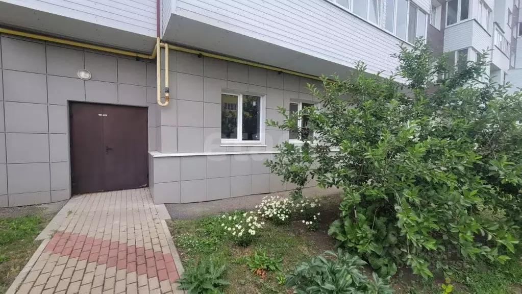 Офис в Белгородская область, Белгородский район, Дубовское с/пос, пос. ... - Фото 1