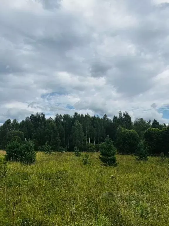 Участок в Московская область, Серпухов городской округ, д. Верхнее ... - Фото 1