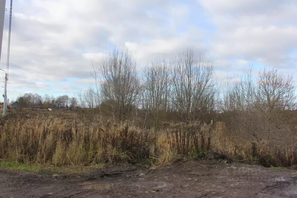 Участок в Москва д. Кузнецово, ул. Березовая (11.39 сот.) - Фото 2