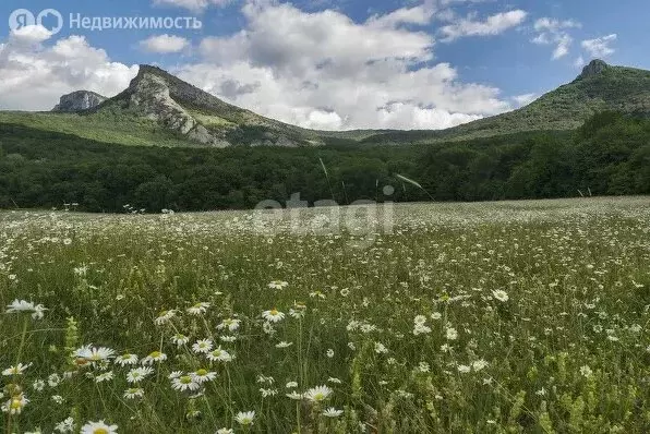 Участок в Бахчисарайский район, Голубинское сельское поселение, село ... - Фото 1