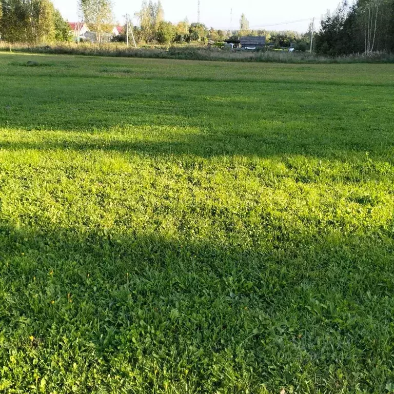 Участок в Московская область, Шаховская муниципальный округ, д. Холмец ... - Фото 2