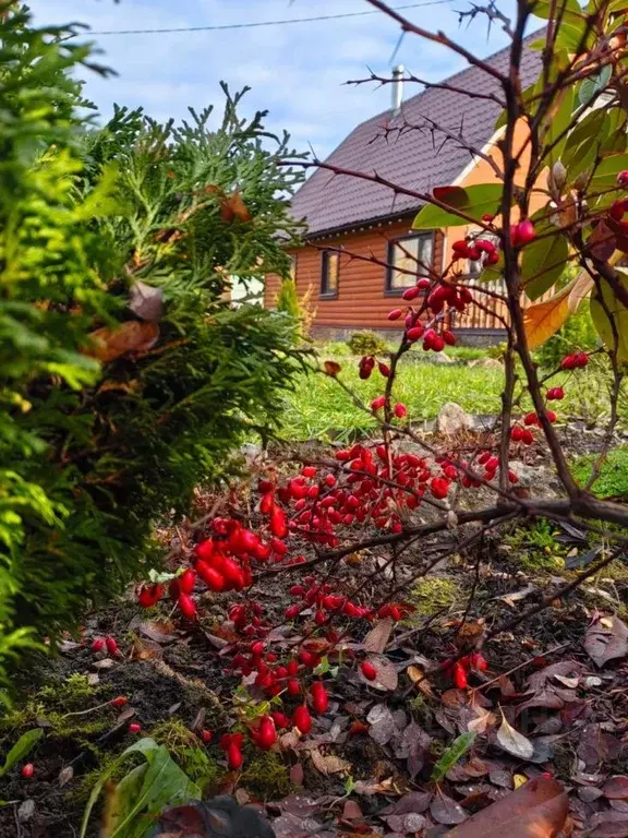 Дом в Ленинградская область, Выборгский район, Каменногорское ... - Фото 1