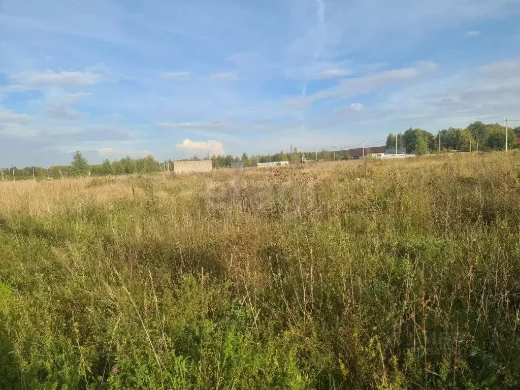 Участок в Новосибирская область, Новосибирский район, Станционный ... - Фото 1