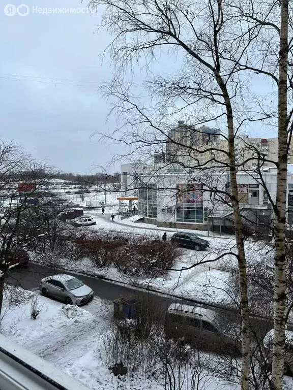 3-комнатная квартира: Санкт-Петербург, Товарищеский проспект, 2к1 (63 ... - Фото 1