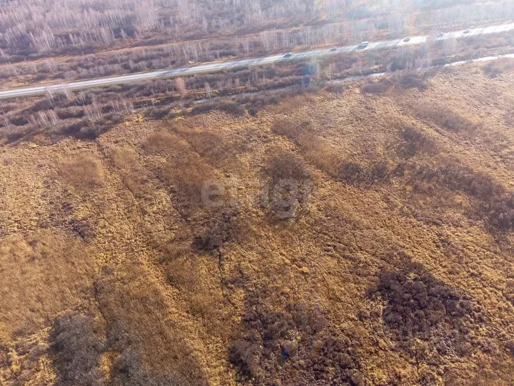 Участок в Тюменская область, Тюмень  (99.78 сот.) - Фото 1