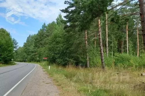 Участок в Новгородская область, Новгородский район, Бронницкое с/пос, ... - Фото 1