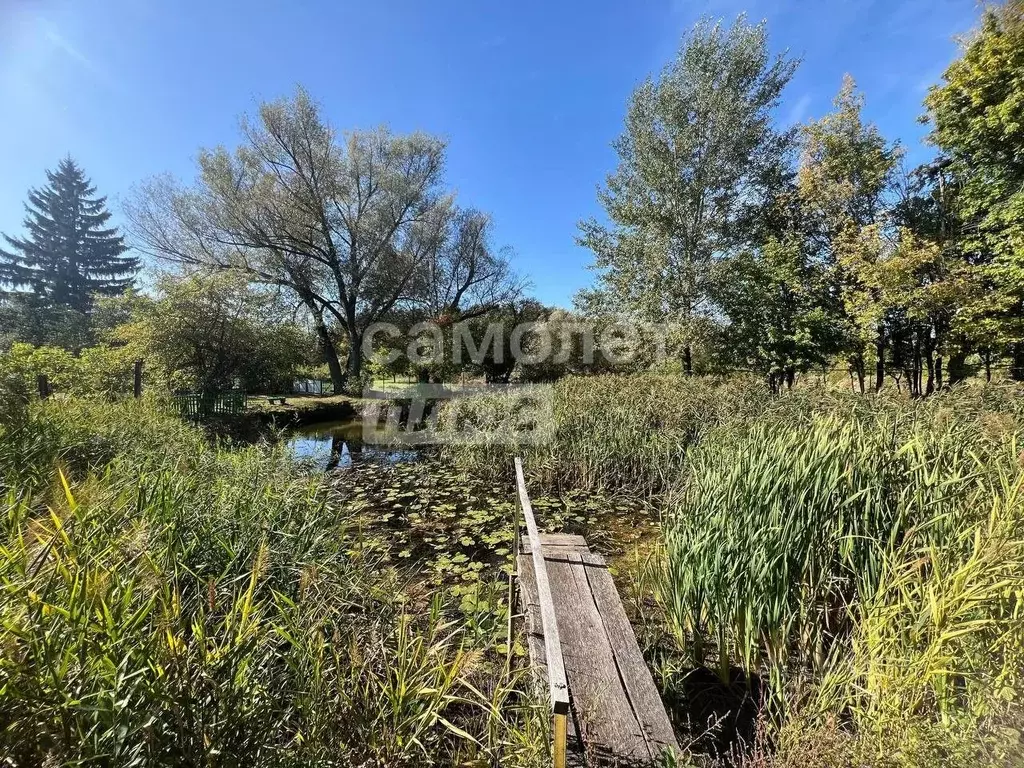 Дом в Курская область, Льгов пер. 1-й Красноармейский, 5 (129 м) - Фото 1