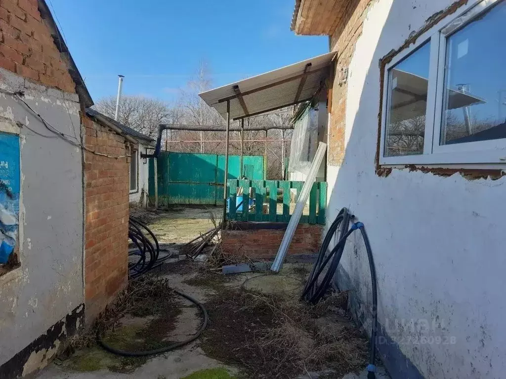 Дом в Ростовская область, Неклиновский район, Советка сл. ... - Фото 2