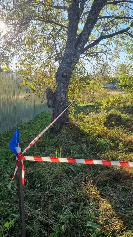 Участок в Москва д. Рождественно, 59А (11.0 сот.) - Фото 2