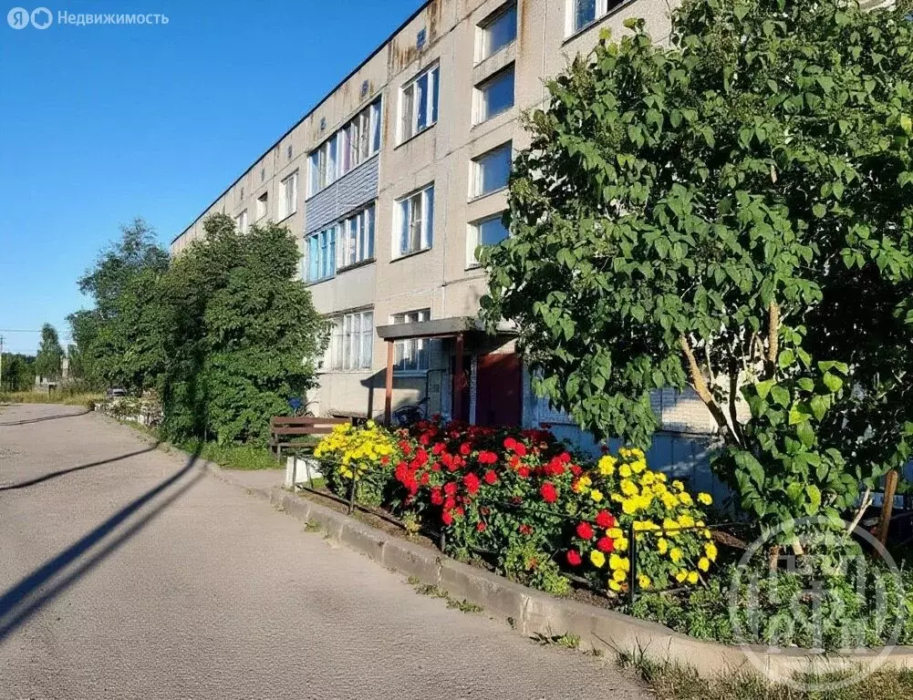 2-комнатная квартира: посёлок Ромашки, Ногирская улица, 33 (53.2 м) - Фото 1