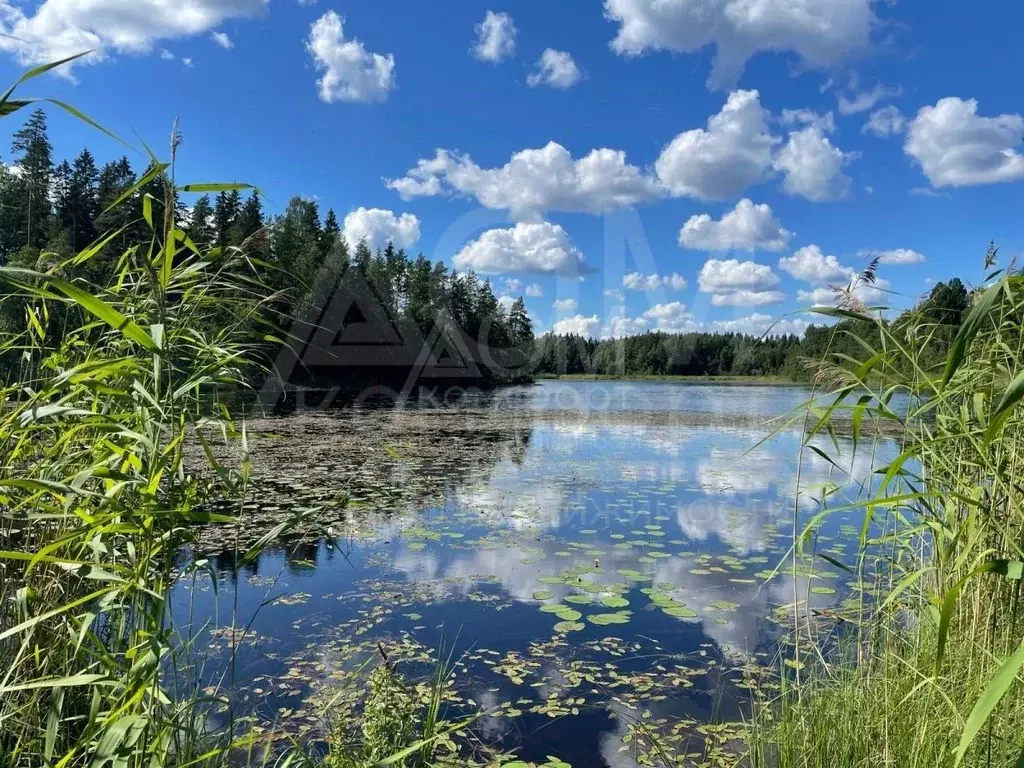 Участок в Ленинградская область, Приозерское городское поселение, пос. ... - Фото 1