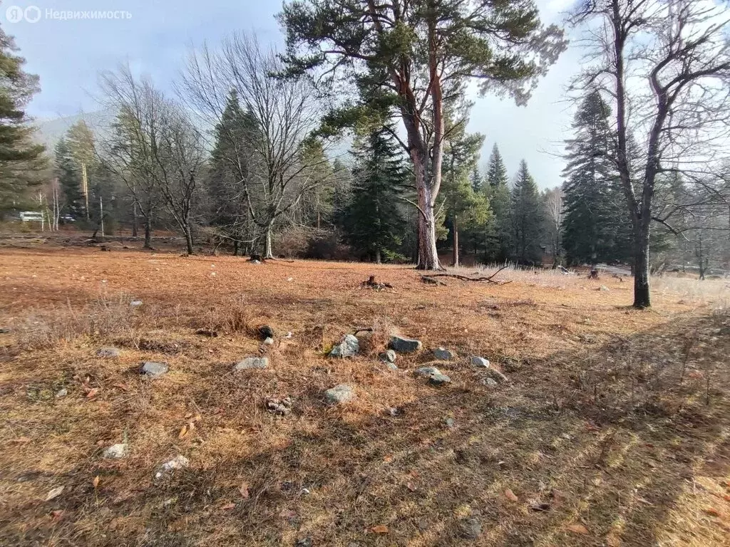 Участок в село Архыз, улица Ленина (100 м) - Фото 1