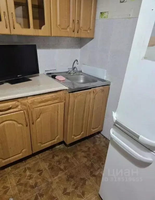 1-к кв. Краснодарский край, Сочи Заречный мкр, ул. Абрикосовая, 21 ... - Фото 0