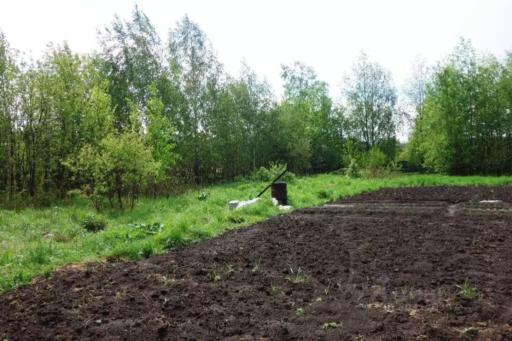 участок в свердловская область, березовский городской округ, пос. . - Фото 1