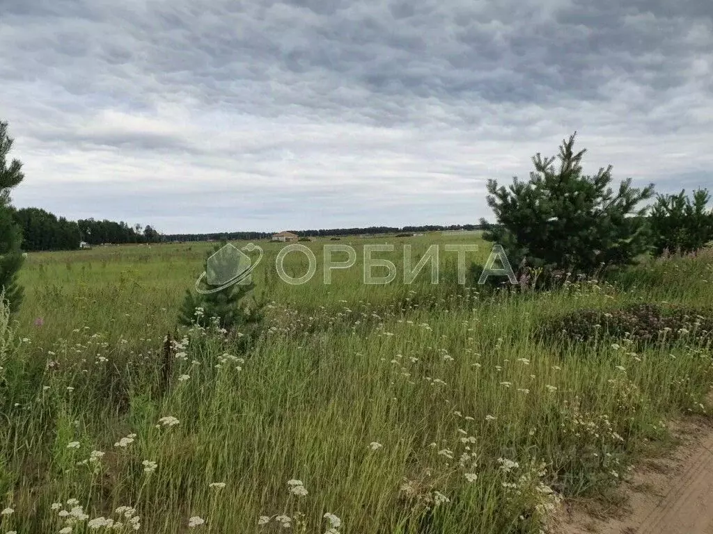 Участок в Тюменская область, Тюменский район, Новокаменский кп ул. ... - Фото 1