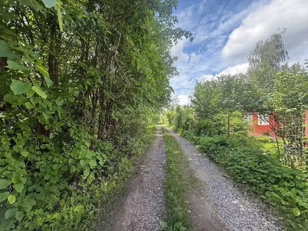 Участок в Ленинградская область, Волховский район, Кисельнинское ... - Фото 1