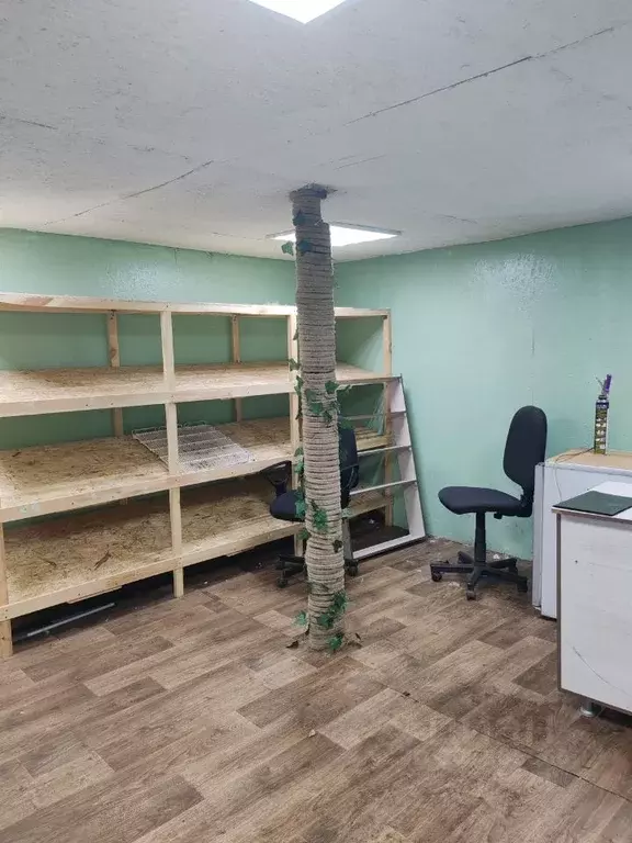 Помещение свободного назначения в Челябинская область, Челябинск ул. ... - Фото 2