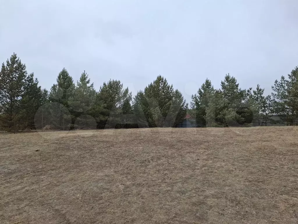 Участок 10 сот. (ИЖС) - Фото 0