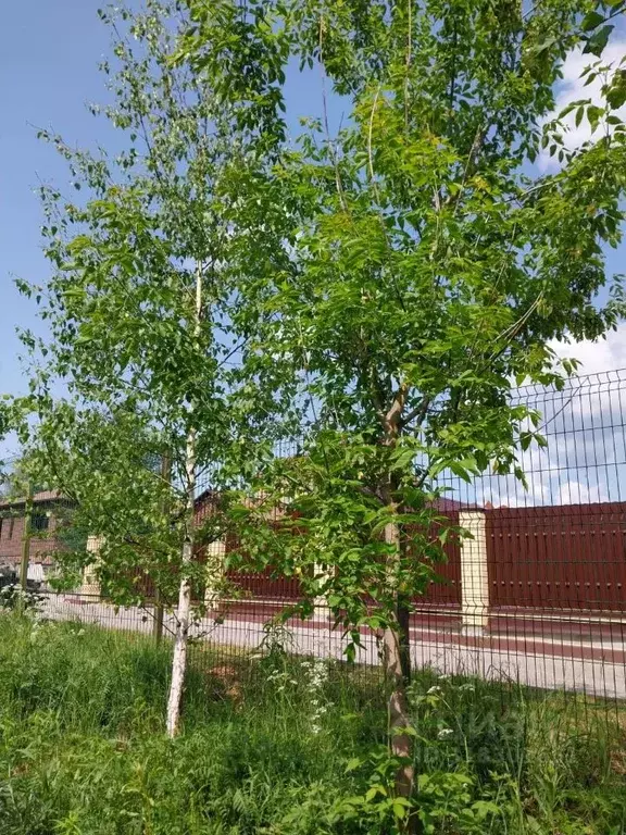 Участок в Владимирская область, Суздальский район, Новоалександровское ... - Фото 0