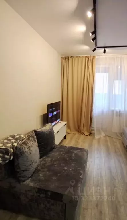 Студия Санкт-Петербург пос. Парголово, Заречная ул., 13к1 (28.5 м) - Фото 2