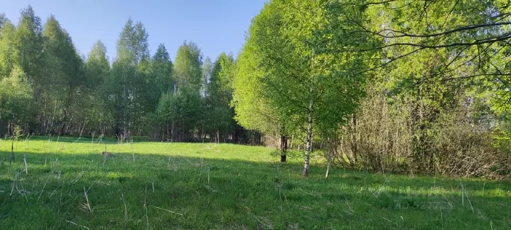 Участок в Ярославская область, Переславль-Залесский городской округ, ... - Фото 0