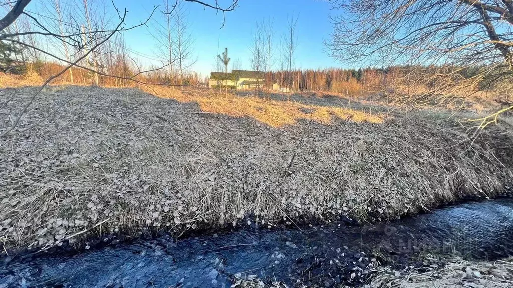 Участок в Ленинградская область, Всеволожский район, Заневское ... - Фото 1