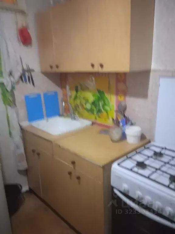 1-к кв. Омская область, Омск Пригородная ул., 10/1 (30.0 м) - Фото 1