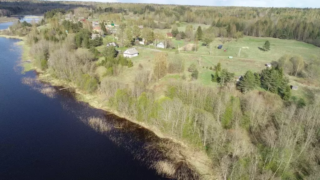 Участок в Новгородская область, Валдайский район, Рощинское с/пос, д. ... - Фото 1