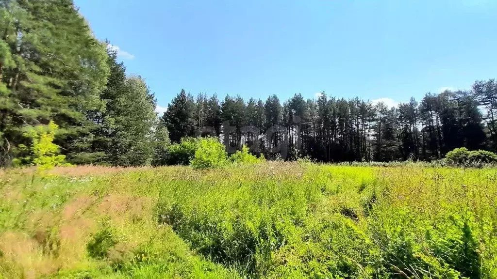 Участок в Кировская область, Киров городской округ, с. Бахта  (6.8 ... - Фото 2