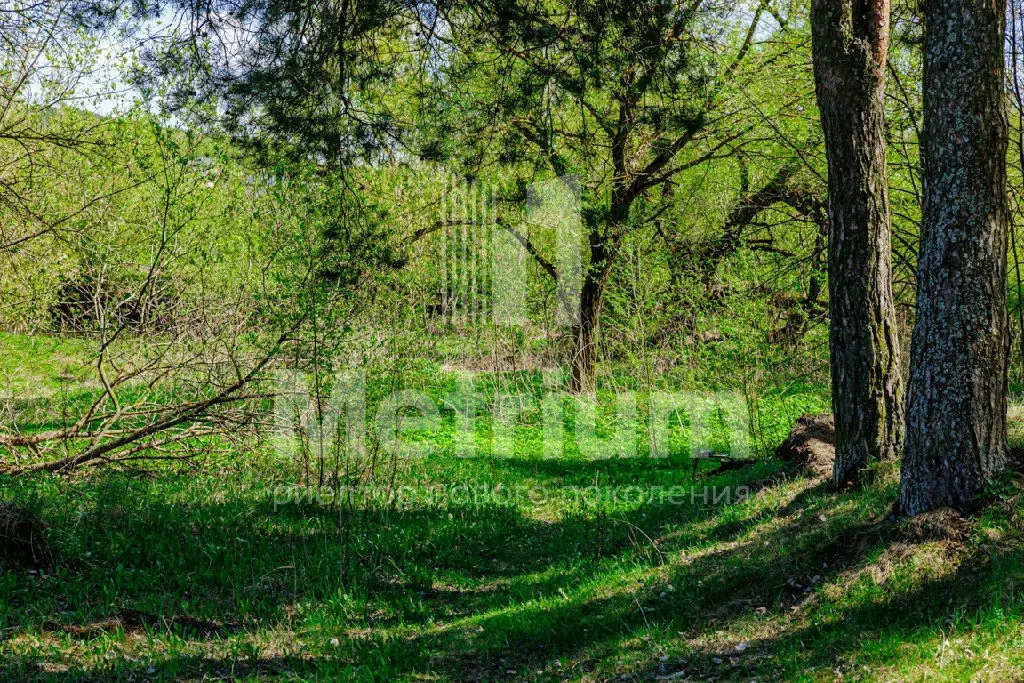 Продается участок в д. Таганьково - Фото 0