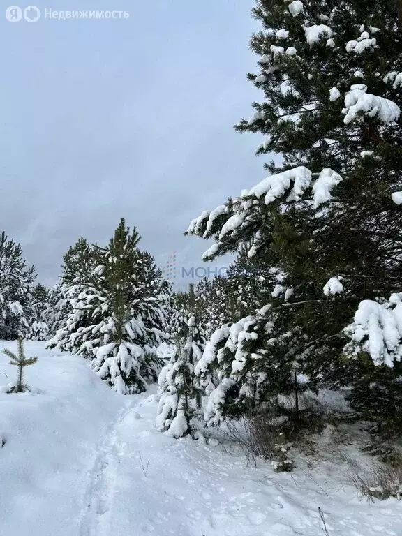 Участок в Нижегородская область, городской округ Арзамас, село ... - Фото 0