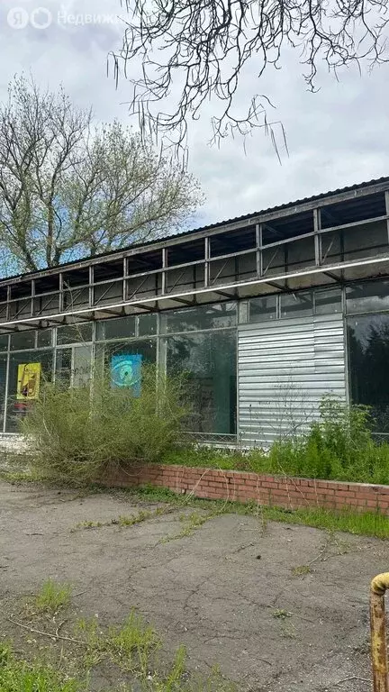 Помещение свободного назначения (250 м) - Фото 2