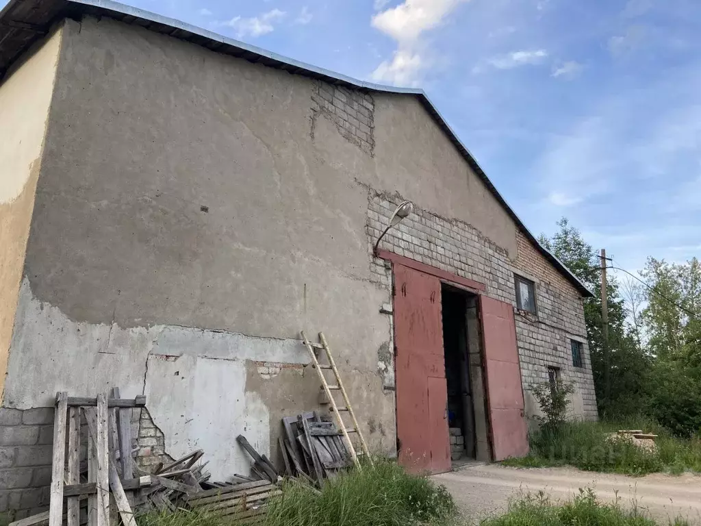 Склад в Псковская область, Псков Лопатино исторический район, (545.0 . - Фото 0