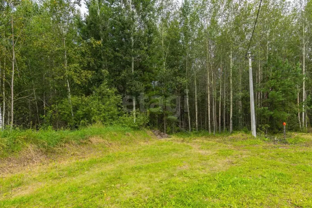 Участок в Тюменская область, Нижнетавдинский муниципальный округ, пос. ... - Фото 1