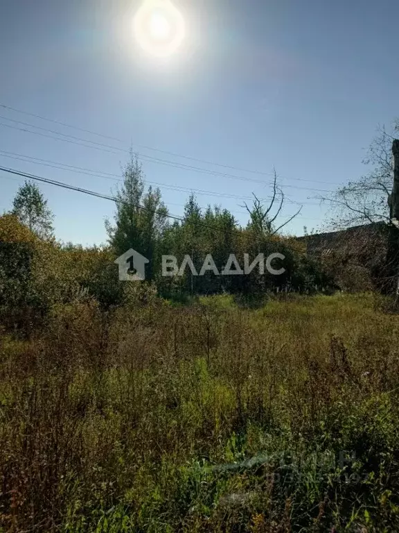 Участок в Владимирская область, Гусь-Хрустальный район, Золотково ... - Фото 1