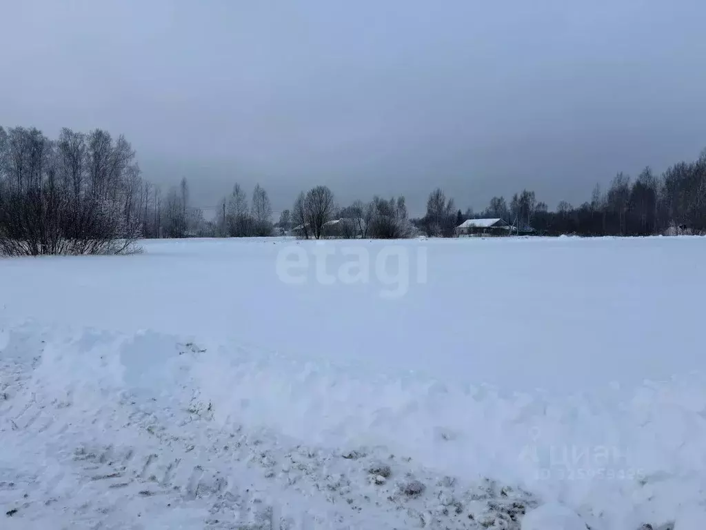 Участок в Костромская область, Красносельский район, Шолоховское ... - Фото 1